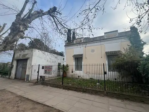 San Lorenzo 100
