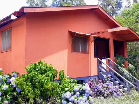 Rio o Arroyo Rama Negra 100