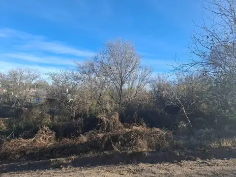Terreno en Venta 10  mts Frente