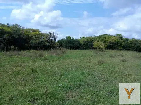 Campo en venta - 101 Hectáreas  - Pinamar