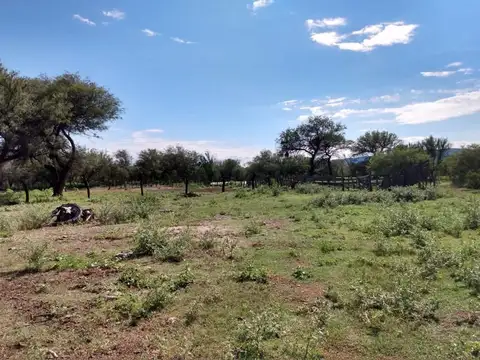Campo en Venta de 866  ha