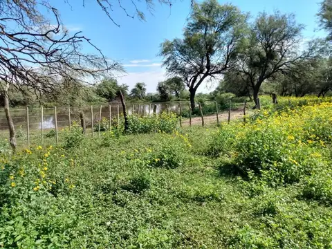 Campo en Venta en Lafinur, Junín