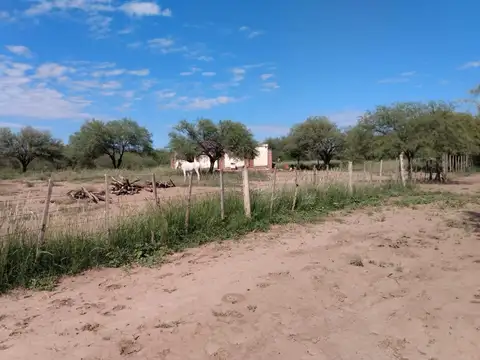 Campo en Venta Ganadero