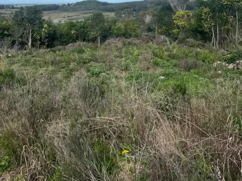 Terreno en venta de 14339m2 ubicado en Piriápolis