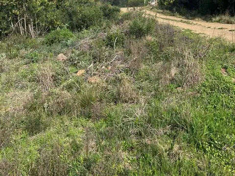 Terreno en Venta 25  mts Frente