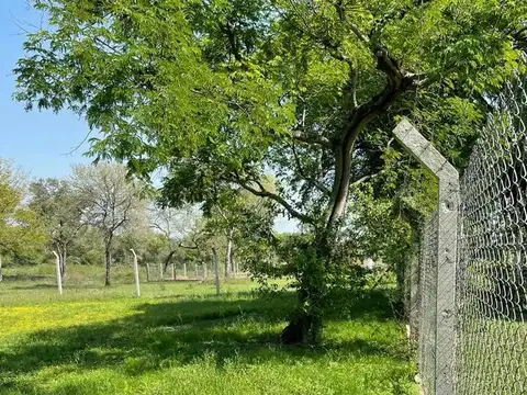 25 X 72  en Colonia Benitez