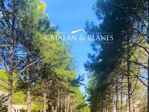 Terreno en Venta 27  mts Frente