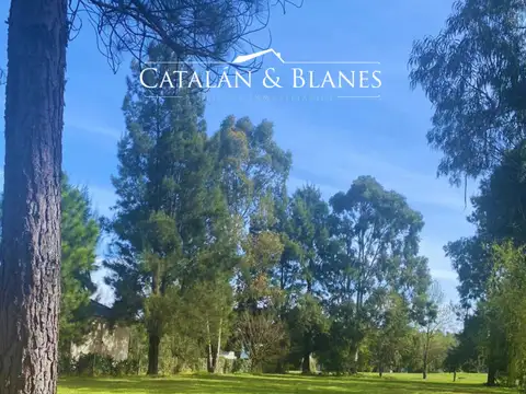 Terreno en Venta 60  mts Fondo