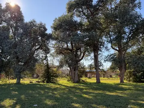 Terreno en Venta de 949,0 m2