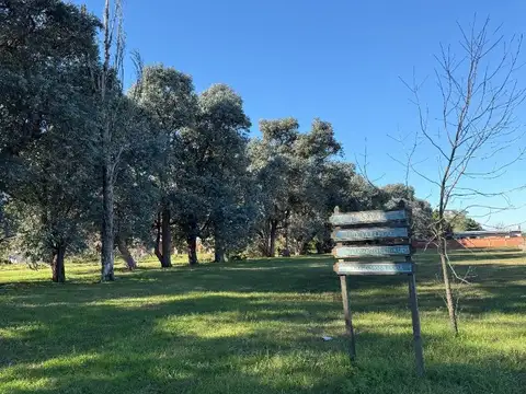 Terreno de 900 m2 en Torres, lado bueno. 