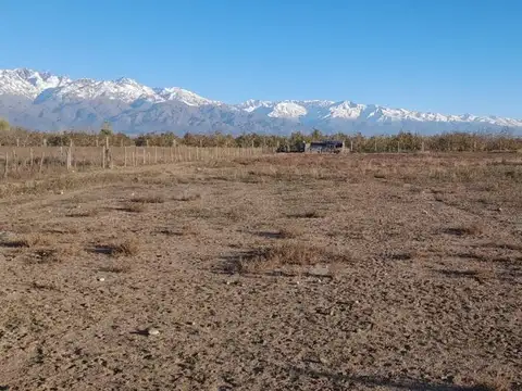 Lote en venta La Consulta San  Carlos 