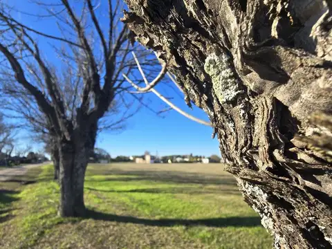 Se vende Lote en Los Laureles. En esquina