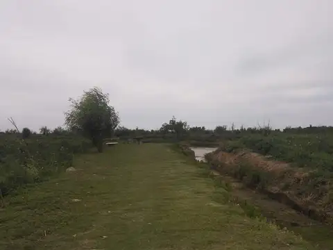 Quinta en Venta en Desvio Arijon, USD 150.000