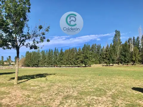 Terreno en Venta de 1000,0 m2