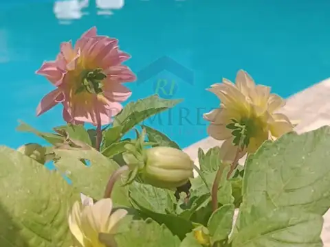 COMPLEJO DE CABAÑAS EN VILLA GRAL BELGRANO