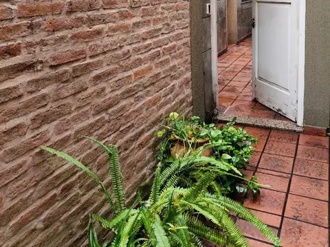 Loria 300