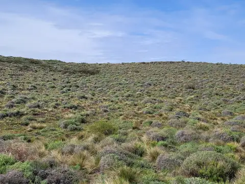 Terreno en Venta de 2033,0 m2