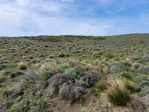 lago huechulafquen