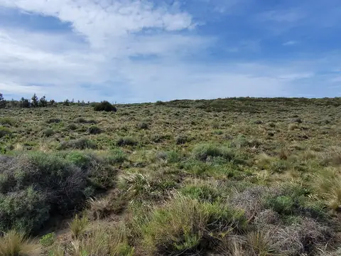 Terreno en Venta de 2033,0 m2