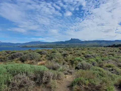 lago huechulafquen