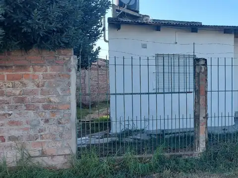Pino 3000