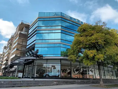 Olga Cossetini al 1500