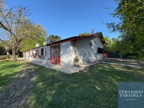 Del Remedio 1500