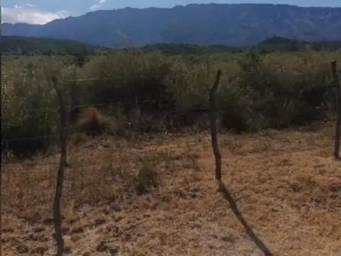 Loteo Agua De Margaritas