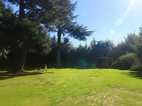 Alejandro Vitale 200