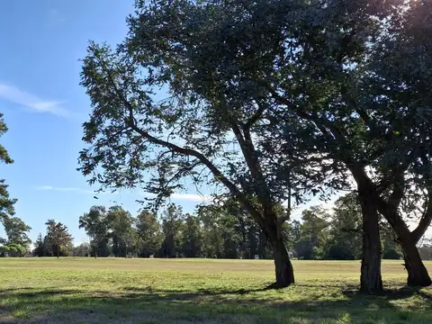 Terreno en Venta en Los Pinares Country Club, USD 28.000