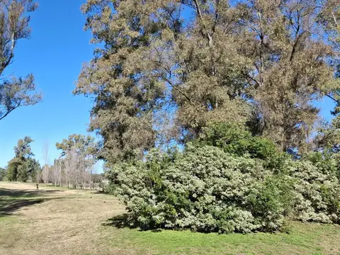 Terreno en Venta 30  mts Fondo