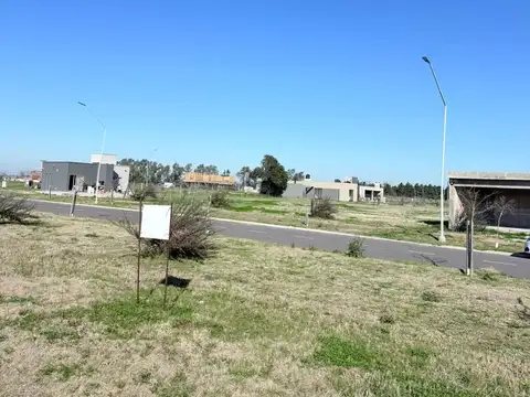 ecotierra