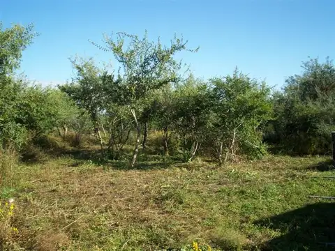 Terreno en Venta en Centro, Carpinteria