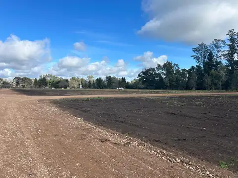 Terreno en Venta en Los Cardales, USD 9.370