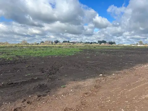 Lotes en venta, Barrio parque Altos El Ombu, Cardales