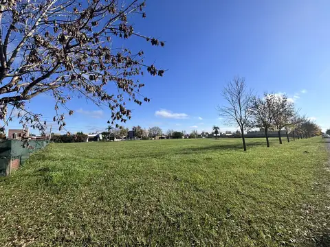 Terreno amplio sobre Av. Punta Chacra, a metros de ingreso principal.