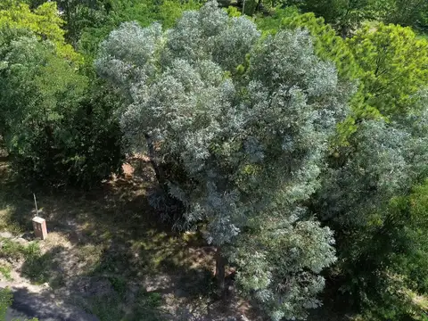 Terreno en Venta en Barrio Pampa, La Lonja, Pilar
