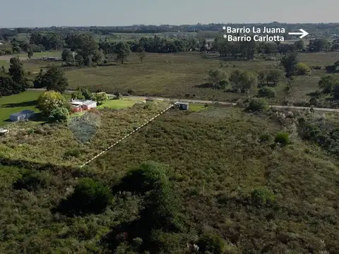Camino al Paso Hondo