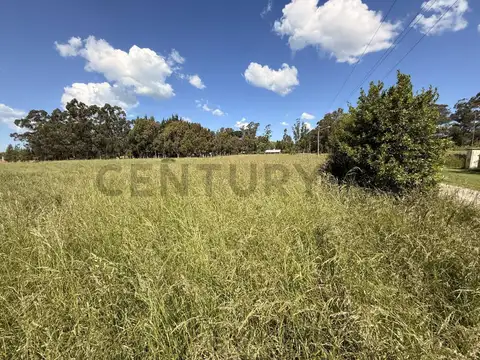 Calle 5 y 8 , Piso 0