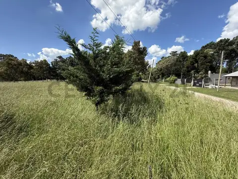 Terreno en Venta en Mar Del Plata, USD 24.900