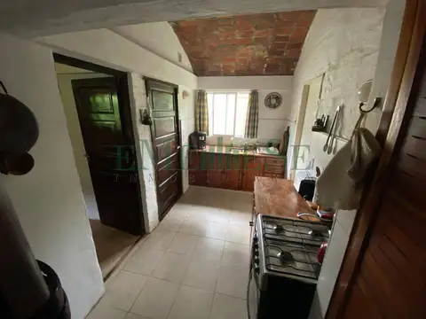 Nereidas 1039 100