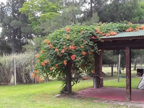 Quinta en Venta en Barrio Caima, USD 68.000