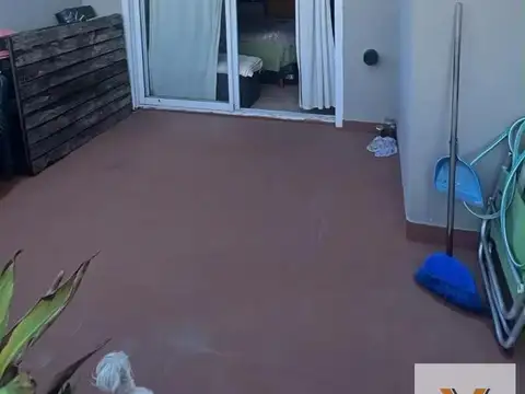 Depto Tipo Casa en Alquiler 16 años