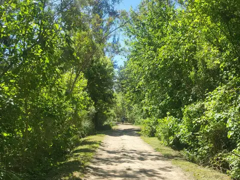 Terreno en Venta de 900,0 m2