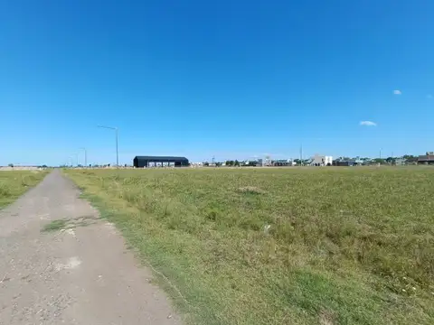 Waldino Suarez & Suipacha