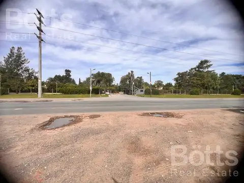 Terreno en Bosque Real