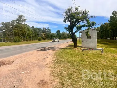 El Tigre entre los fresnos y el ceibo General Rodriguez