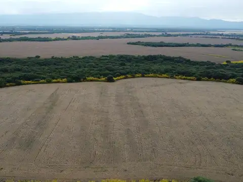 Campo en Venta en El Carmen