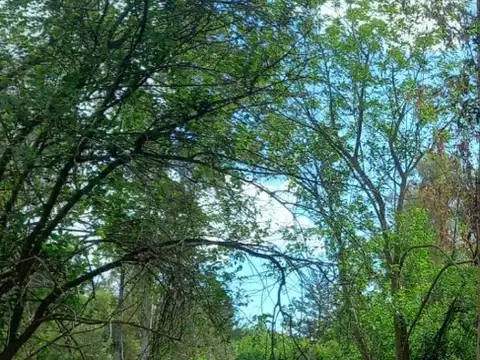 Campo en Venta con Alambrado