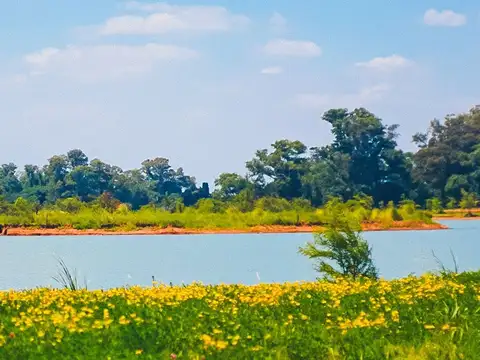 Ruta Nacional 7 km 90